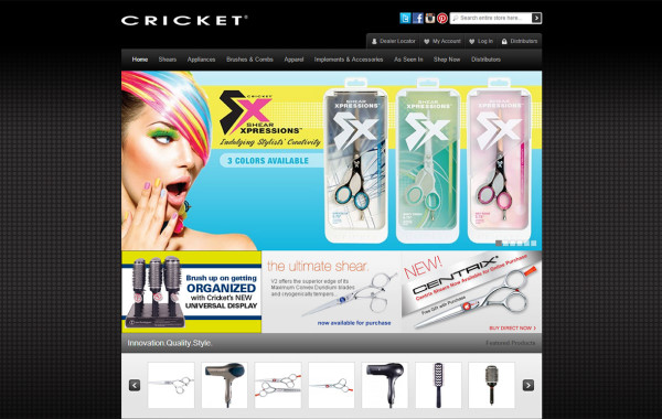 wordpress web design